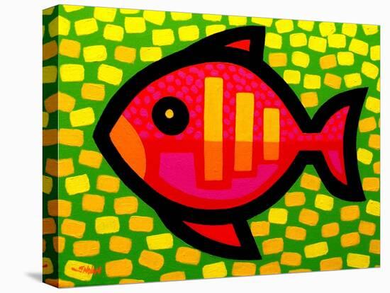 Big Fish-John Nolan-Premier Image Canvas