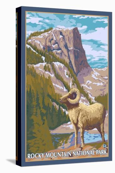 Big Horn Sheep, Rocky Mountain National Park-Lantern Press-Stretched Canvas