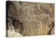 Big-Horned Sheep Jornada-Mogollon Petroglyph at Three Rivers Site, New Mexico-null-Premier Image Canvas