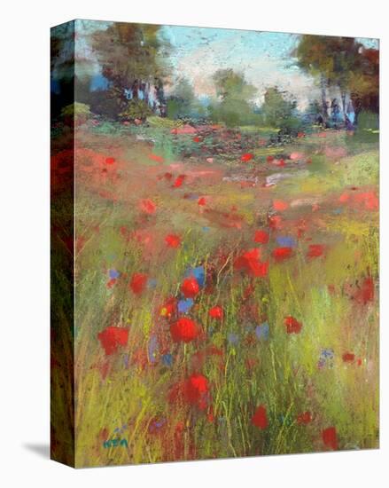 Big Meadow-Karen Margulis-Stretched Canvas