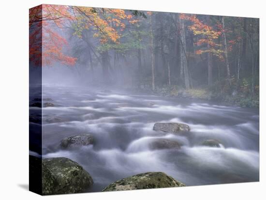 Big Moose River Rapids in Fall, Adirondacks, New York, USA-Nancy Rotenberg-Premier Image Canvas