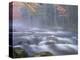 Big Moose River Rapids in Fall, Adirondacks, New York, USA-Nancy Rotenberg-Premier Image Canvas