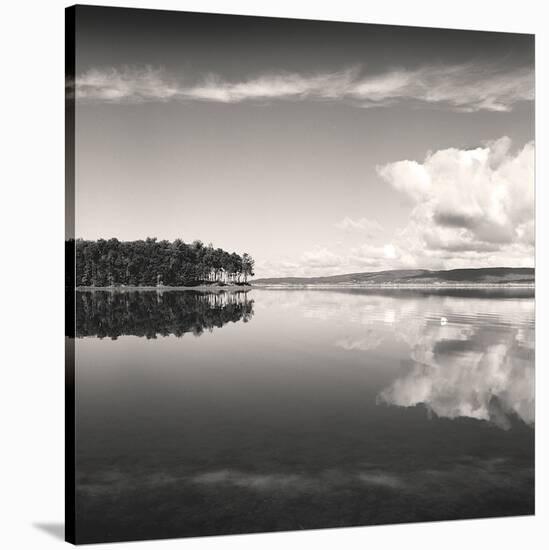 Big Pond-Andrew Ren-Stretched Canvas