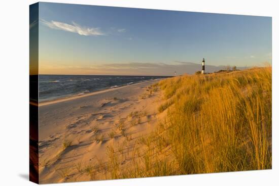 Big Sable Point Lighthouse on Lake Michigan, Ludington SP, Michigan-Chuck Haney-Premier Image Canvas