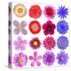 Big Selection Of Colorful Flowers Isolated On White Background-tr3gi-Stretched Canvas