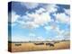 Big Sky Country-David Marty-Premier Image Canvas