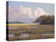 Big Sky Countryside-Jill Schultz McGannon-Stretched Canvas