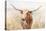 Big Sky Longhorn Neutral-Danhui Nai-Stretched Canvas