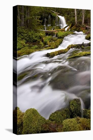 Big Spring Creek Falls, Gifford Pinchot National Forest, Washington, United States of America-James Hager-Premier Image Canvas