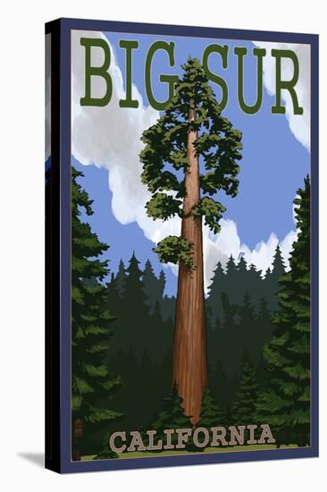 Big Sur, California - Redwood Tree-Lantern Press-Stretched Canvas