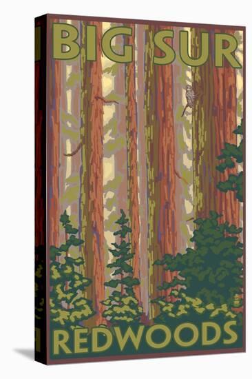 Big Sur, California - Redwoods-Lantern Press-Stretched Canvas