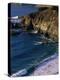 Big Sur, California-Mitch Diamond-Premier Image Canvas