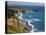 Big Sur Coastline in California, USA-Chuck Haney-Premier Image Canvas