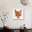 Big Town Fox-Robert Farkas-Stretched Canvas displayed on a wall
