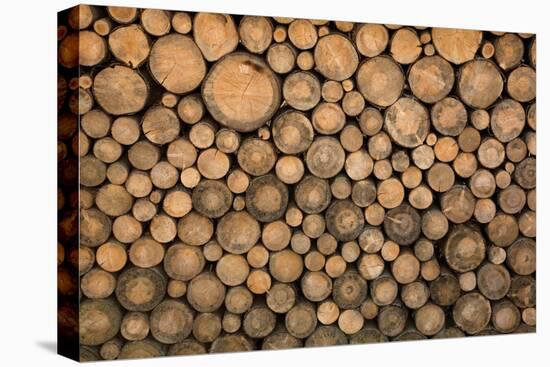Big Wall of Stacked Wood Logs Showing Natural Discoloration-badboo-Premier Image Canvas
