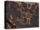 Bighorn Sheep Petroglyph, Petrified Forest National Park, Arizona, USA-James Hager-Premier Image Canvas