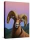 Bighorn-James W. Johnson-Premier Image Canvas