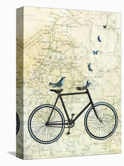 Bike Country-Marion Mcconaghie-Stretched Canvas