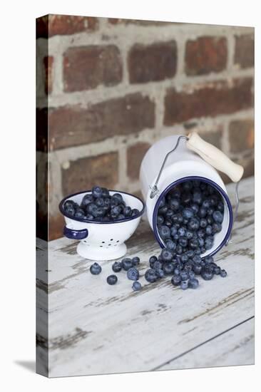 Bilberries with Enamelware-Andrea Haase-Premier Image Canvas