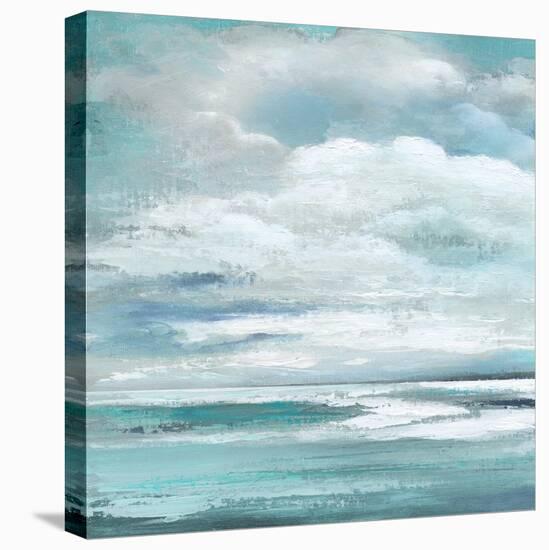 Billowing Clouds I-Janet Tava-Stretched Canvas