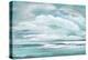 Billowing Clouds-Janet Tava-Stretched Canvas