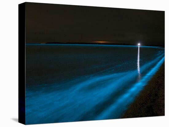 Bioluminescence in Waves in the Gippsland Lakes, Victoria, Australia-Stocktrek Images-Premier Image Canvas