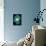 Bioluminescent Enzyme Molecule-Laguna Design-Premier Image Canvas displayed on a wall