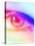 Biometric Eye Scan-Victor Habbick-Premier Image Canvas