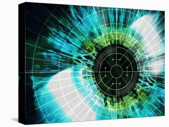 Biometric Eye Scan-PASIEKA-Premier Image Canvas