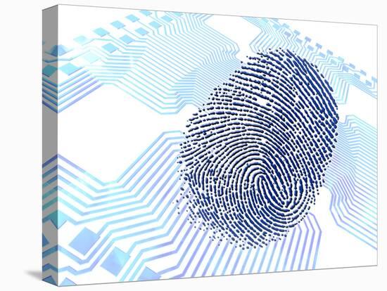 Biometric Fingerprint Scan, Artwork-PASIEKA-Premier Image Canvas