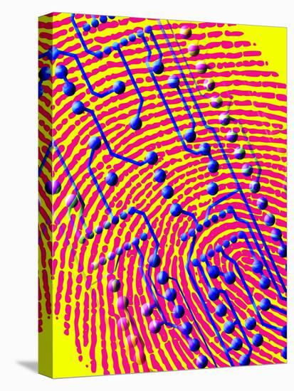Biometric Fingerprint Scan-PASIEKA-Premier Image Canvas