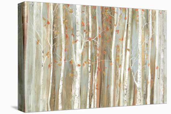 Birch Bark-Allison Pearce-Stretched Canvas