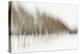 Birch Blur I-Larry Malvin-Premier Image Canvas