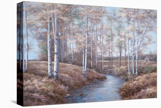 Birch Creek-Diane Romanello-Stretched Canvas