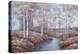 Birch Creek-Diane Romanello-Stretched Canvas