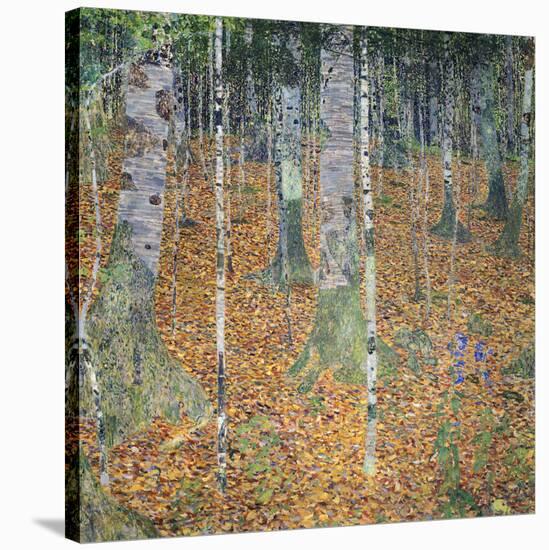 Birch Forest, 1903-Gustav Klimt-Stretched Canvas