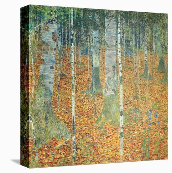 Birch Forest, c.1903-Gustav Klimt-Stretched Canvas