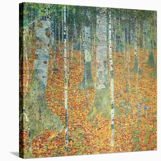 Birch Forest, c.1903-Gustav Klimt-Stretched Canvas
