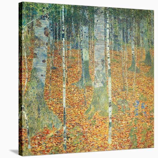 Birch Forest, c.1903-Gustav Klimt-Stretched Canvas