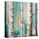 Birch Forest I-Patricia Pinto-Stretched Canvas