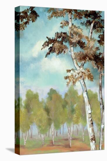 Birch Forest II-Margaret Ferry-Stretched Canvas