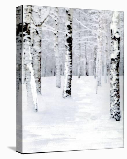 Birch Forest Path-Parker Greenfield-Stretched Canvas