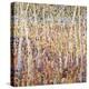 Birch Forest-Jean Cauthen-Stretched Canvas