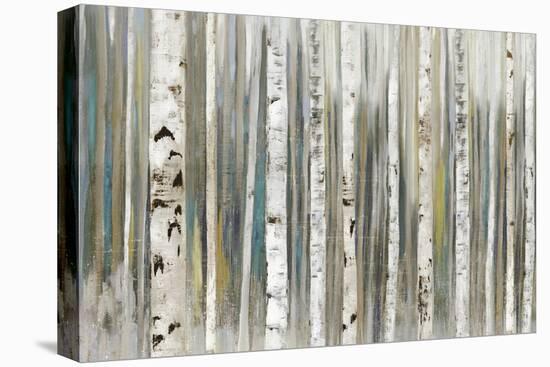 Birch Forest-Allison Pearce-Stretched Canvas