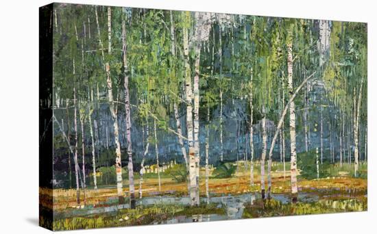 Birch Grove-Robert Moore-Stretched Canvas