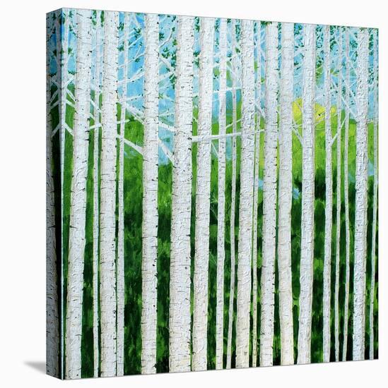 Birch Grove-Herb Dickinson-Premier Image Canvas