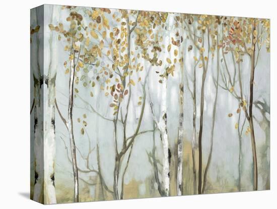 Birch in the fog II-Allison Pearce-Stretched Canvas