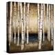 Birch Landing-Patrick St^ Germain-Stretched Canvas