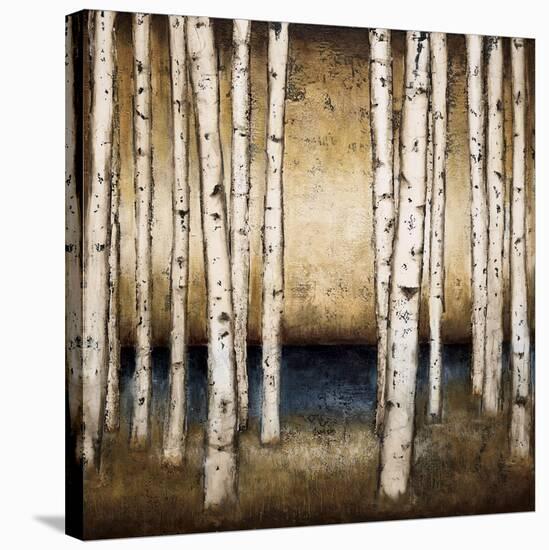 Birch Landing-Patrick St^ Germain-Stretched Canvas