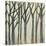 Birch Line I-Jennifer Goldberger-Stretched Canvas